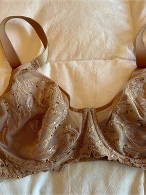 HSIA Embroidered Sheer Underwire Bra in Taupe